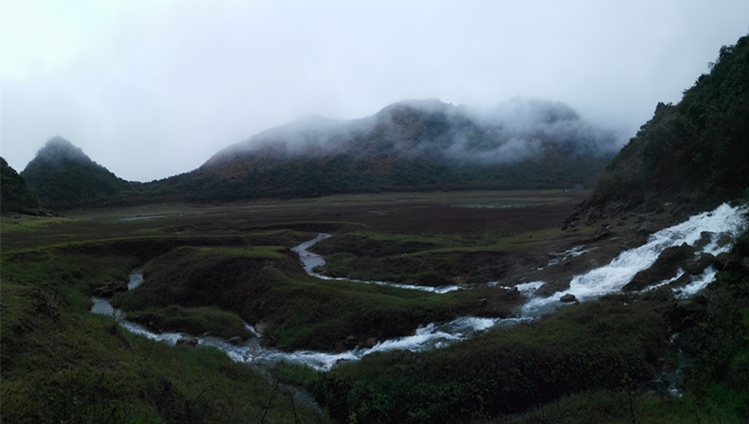 �����Ĵ����