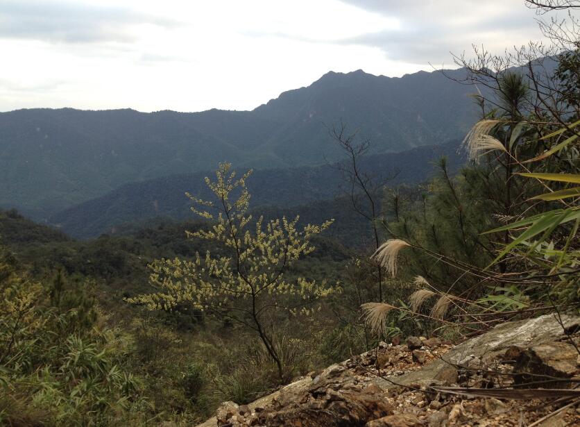 Ұ������