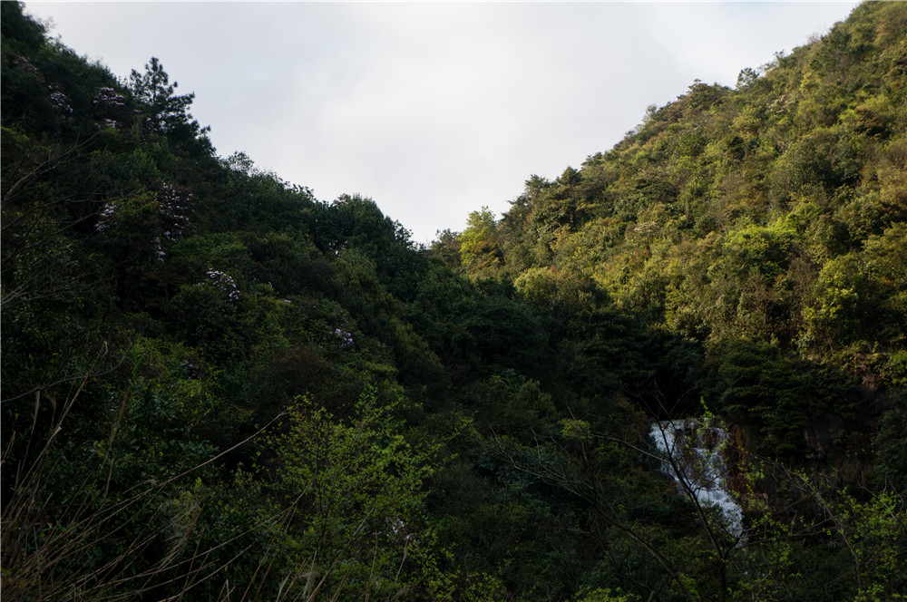 ˮ�������ʣ��ɱ�������