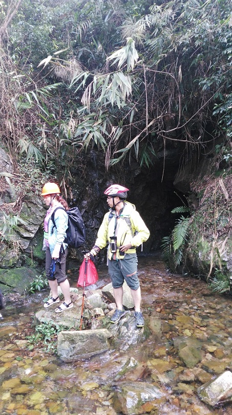 ׼������