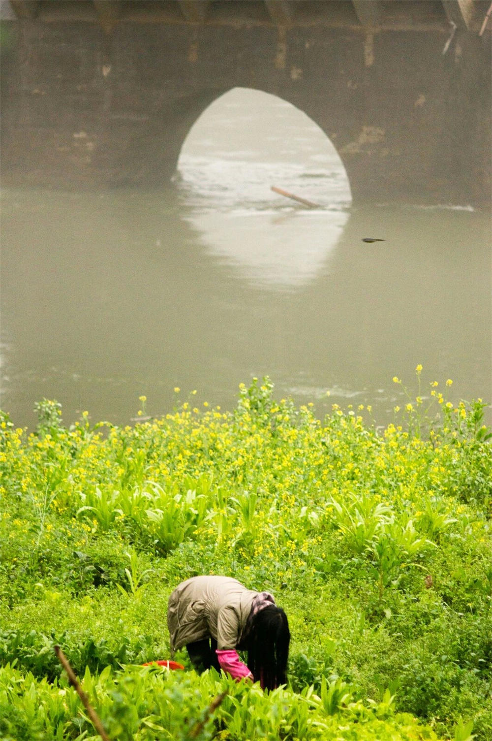 psb (6)_����3.jpg