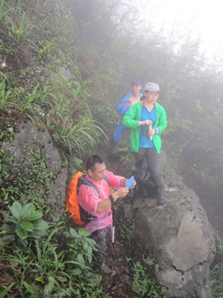 �����ƶ�����1