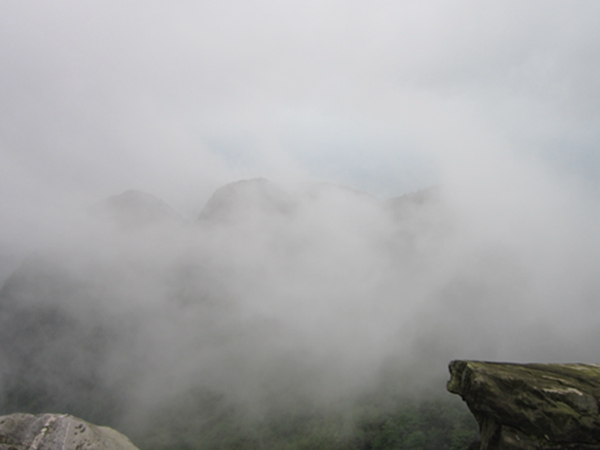 ����ɽ���1