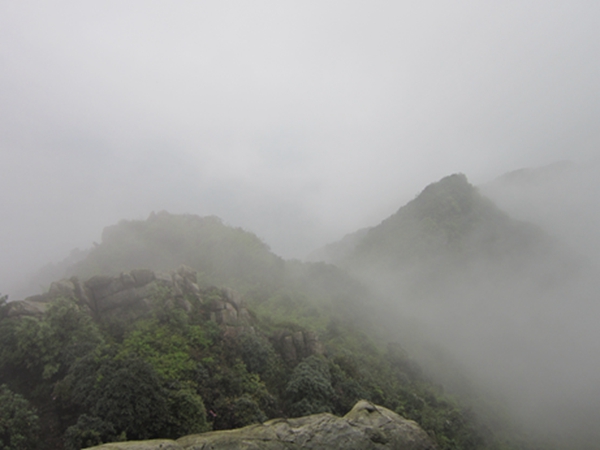 ����ɽ���5