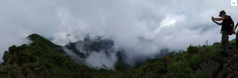 ���Ҷ��ƺ�