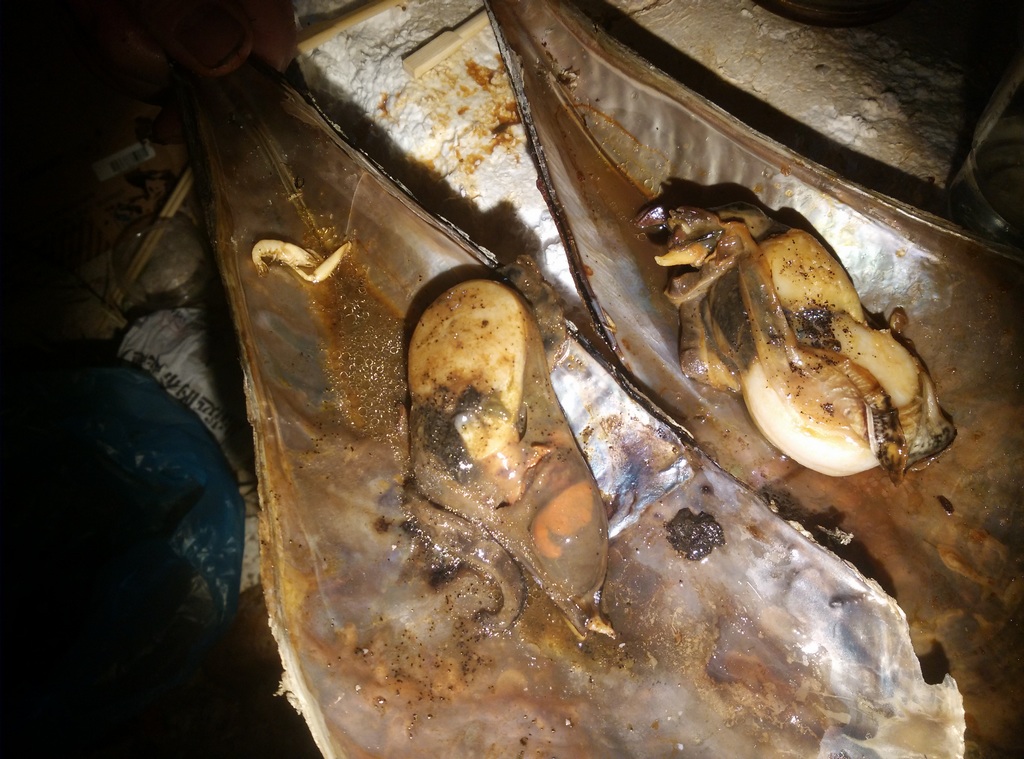 ��˵�е�30cm����