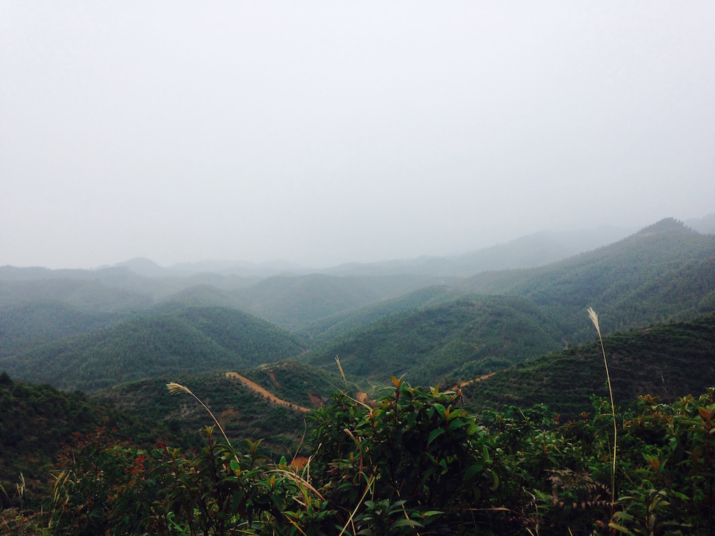 FullSizeRender 5.jpg