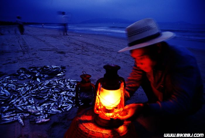 ƽ������