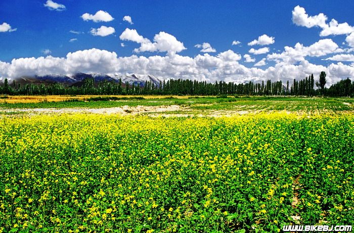 ��ɽ����