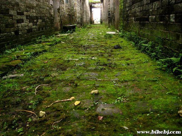 ������̦��·��