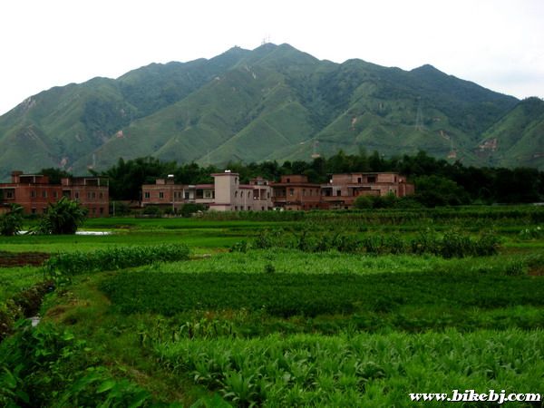 ����625�׵İ�Ƭɽ������Զ������2����