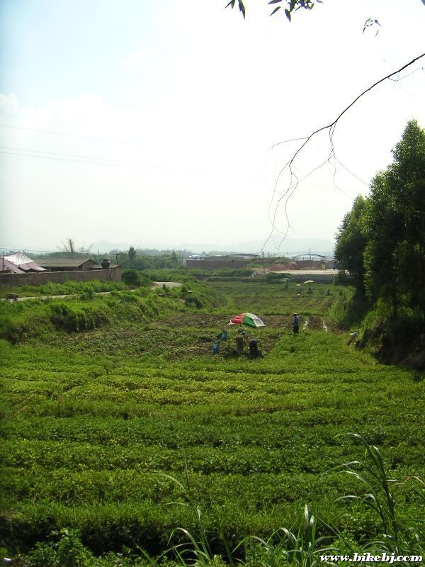 ���磬�Ϳ�ʼ�����ˣ�ũ�񲮲����򵥰�