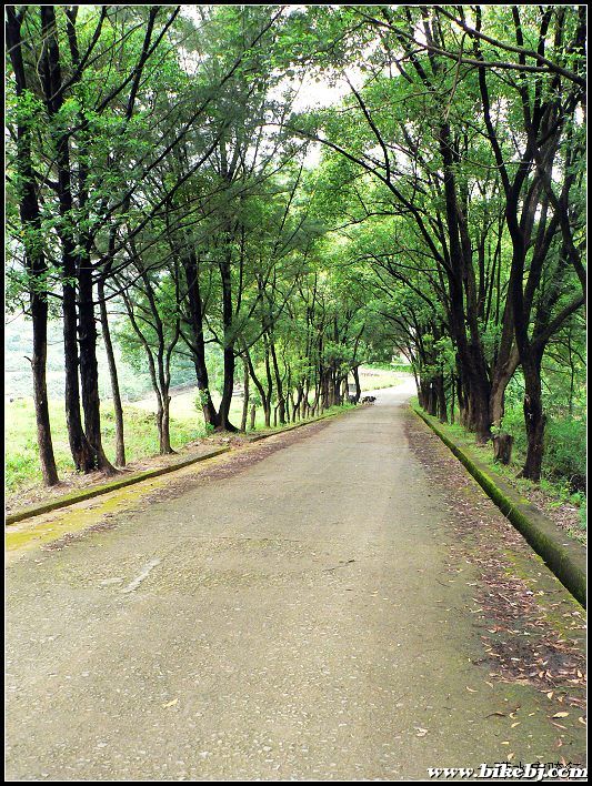 �س�����ţ����