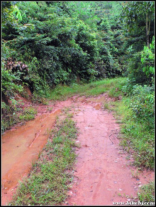 ���������꣬�еĵط�������