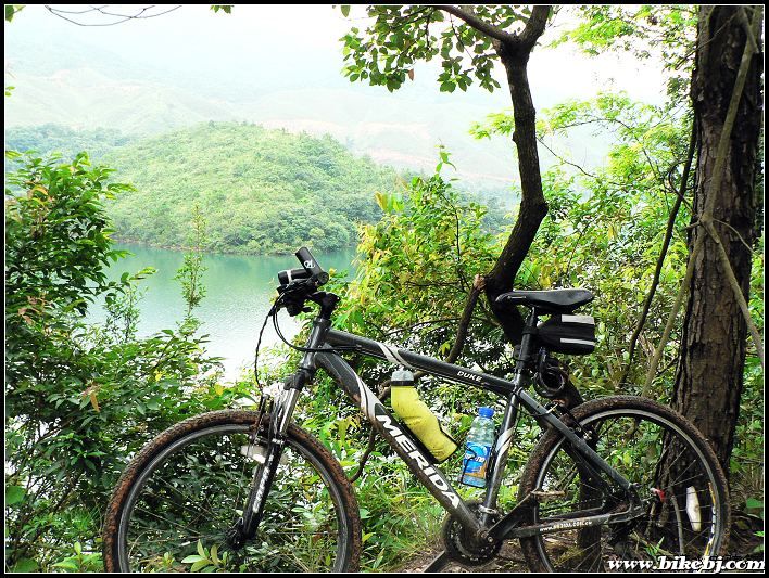 �ո�PP��֤������һ��