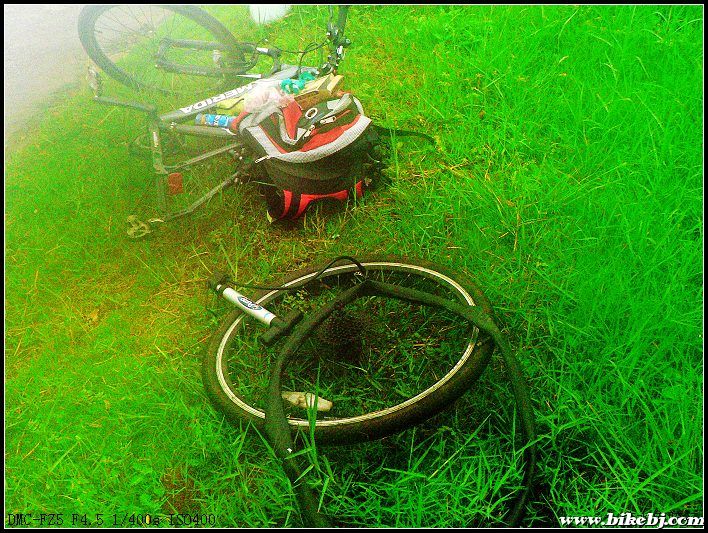 ����������ж�����̥��......