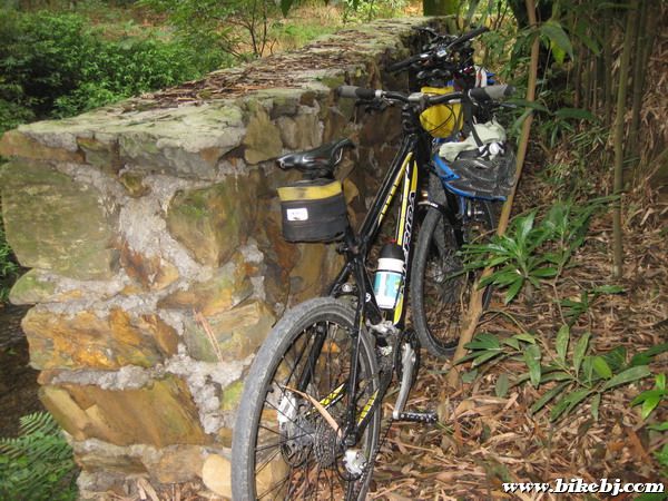 ������ͣ��