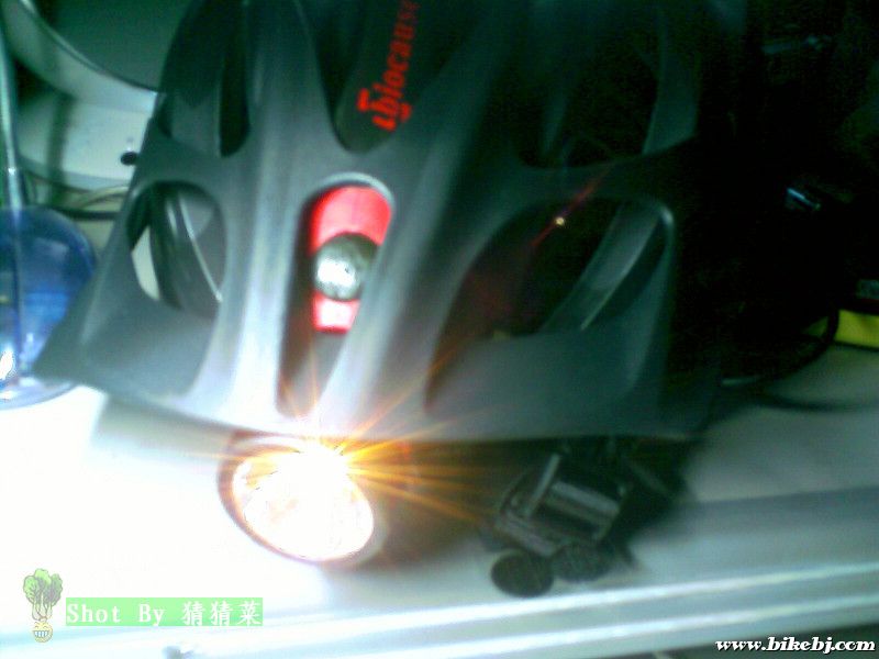 ������Ͳ