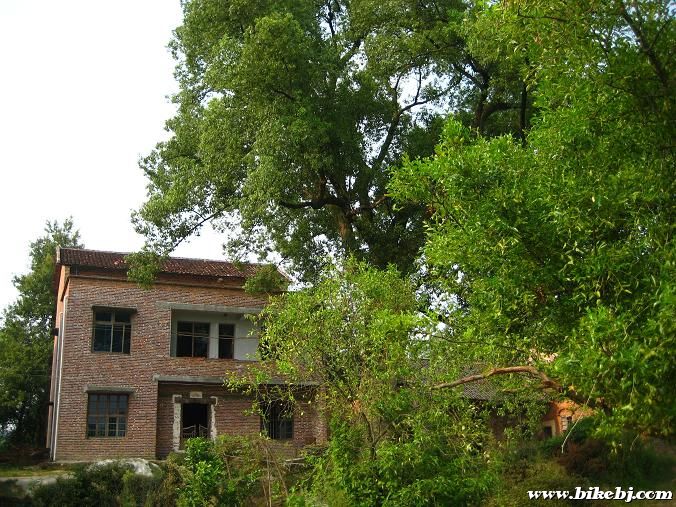 Ũ������