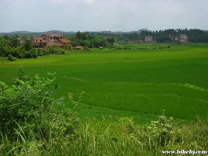 ��;��������԰���