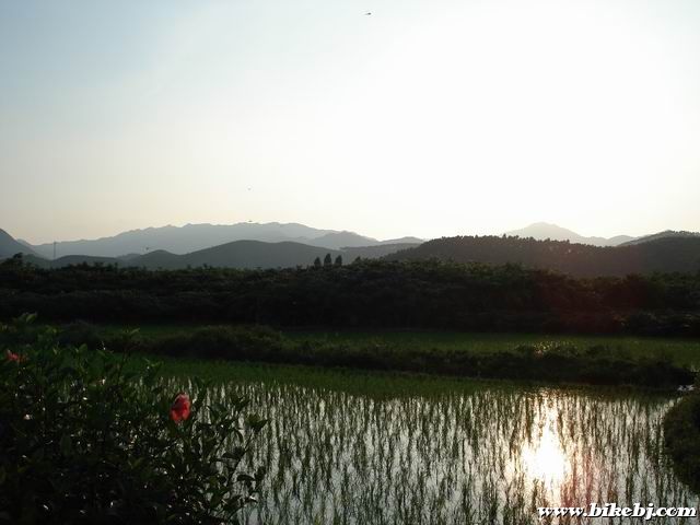 ������С DSC03896.JPG