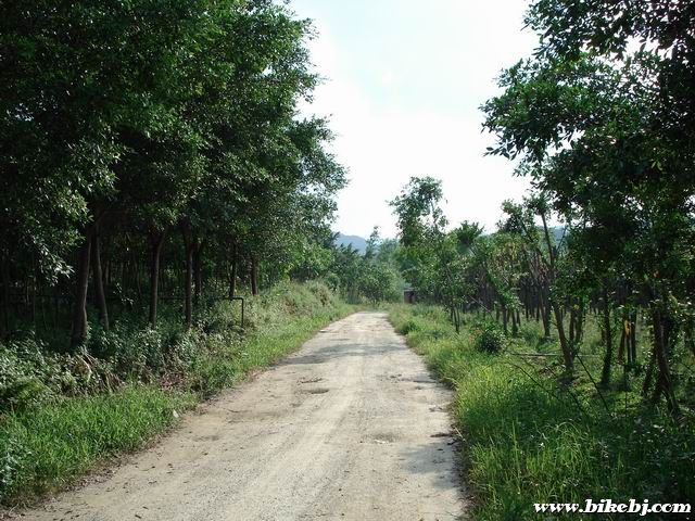 ������С DSC03864.JPG