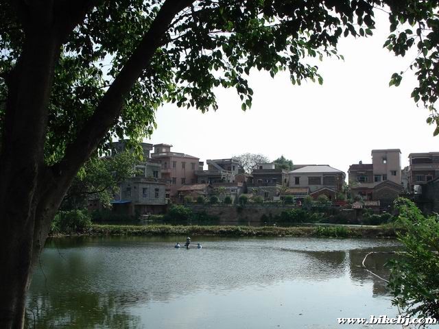 ������С DSC03843.JPG