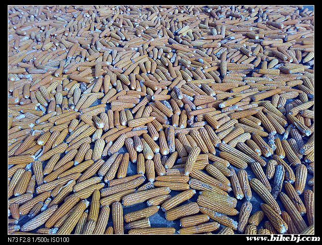 ���ص���Ҫũ���