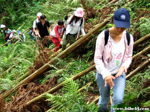 ɽ·Խ��Խ����