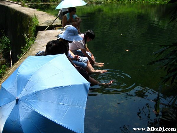 ��ҷ׷��ڹۿ�ˮ�����ݽ�