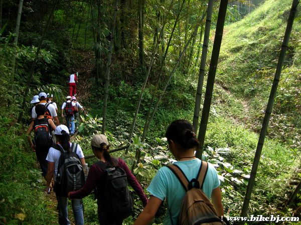 ��������ɽ��ȥ��ȥ