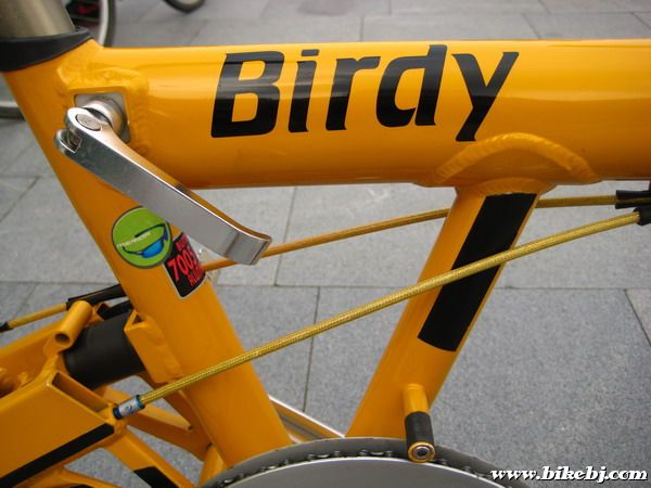 ��ɫBIRDY��ʵ�ĳ���