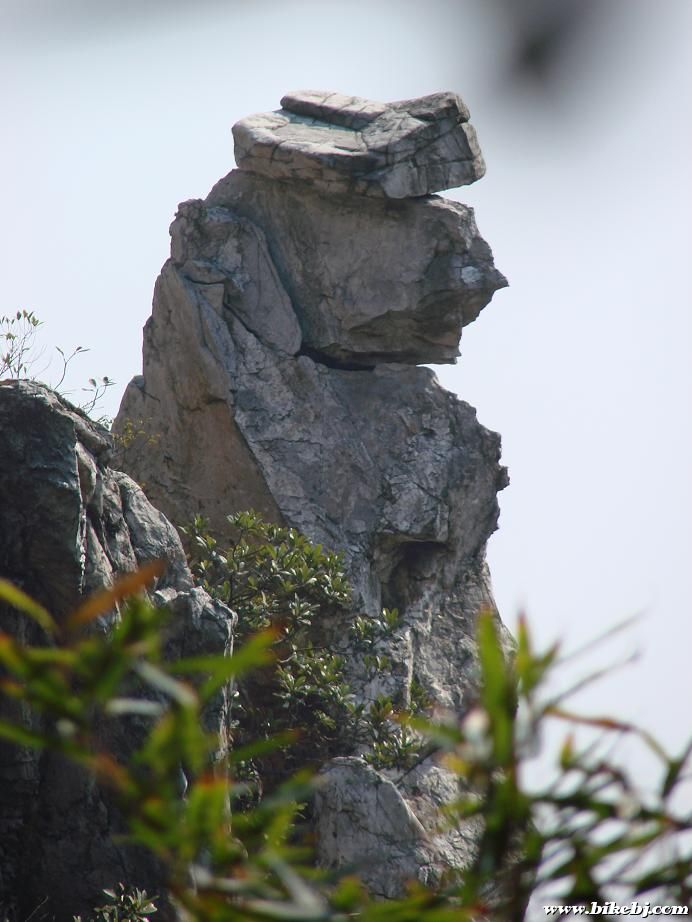 ����ڵ��ϵ�ʯ��