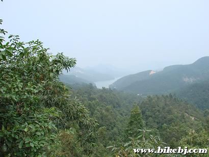 20070917_43d4bc174c96302b8f26I28D2gi8FiZs[1].jpg