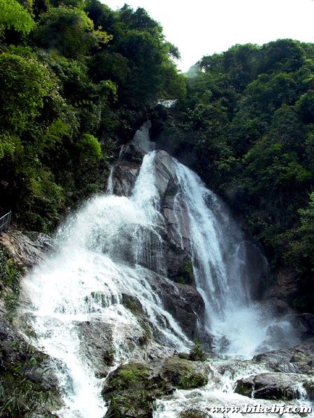 ������ȫ��