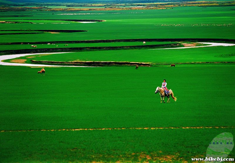 �й������Ĳ�ԭ�������ױ���