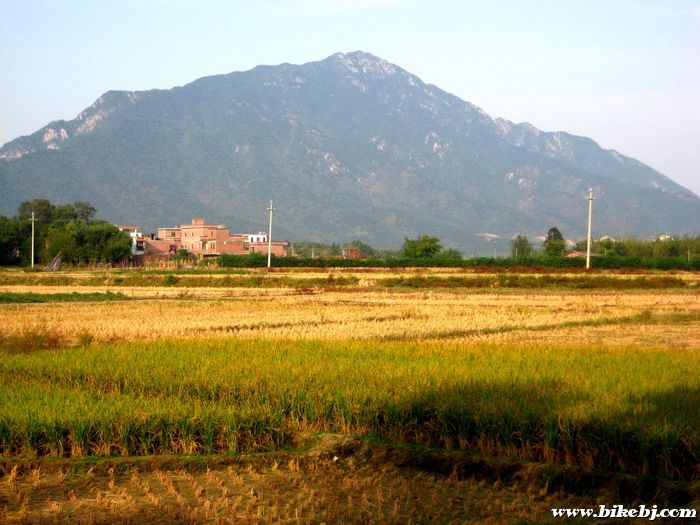 �ӽ�����������ñɽ