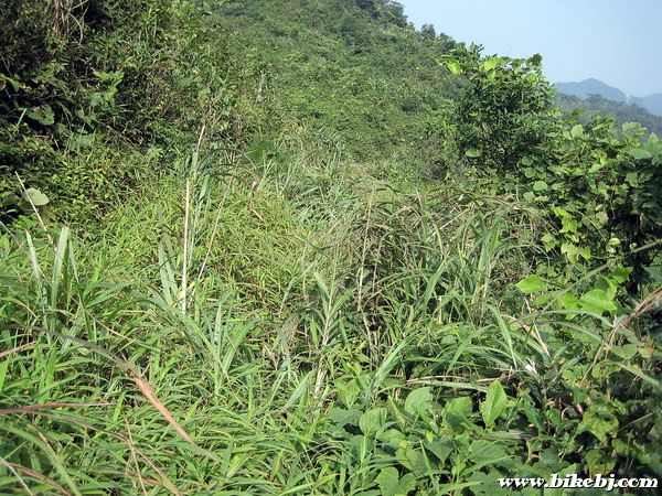 ǰ�еĵ�·������ֲ�����˸�����ʵʵ