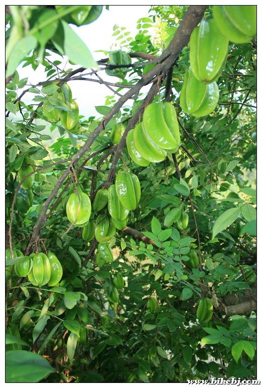 nEO_IMG_��Ƭ 034.jpg