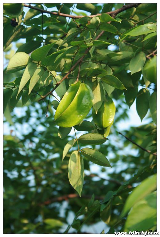 nEO_IMG_��Ƭ 028.jpg