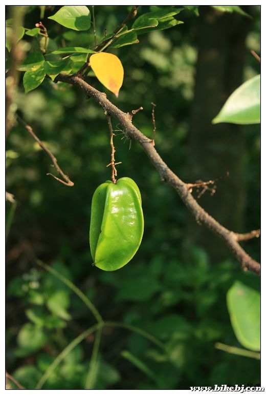 nEO_IMG_��Ƭ 037.jpg