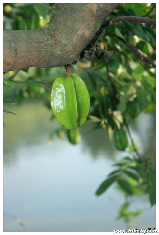 nEO_IMG_��Ƭ 035.jpg