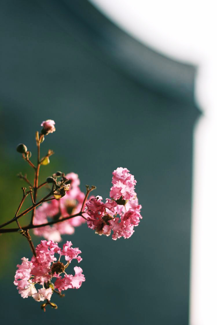 ������С ��Ƭ 020.jpg