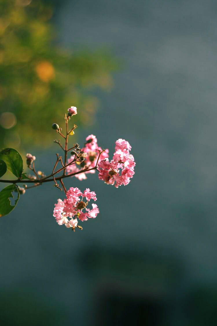 ������С ��Ƭ 019.jpg