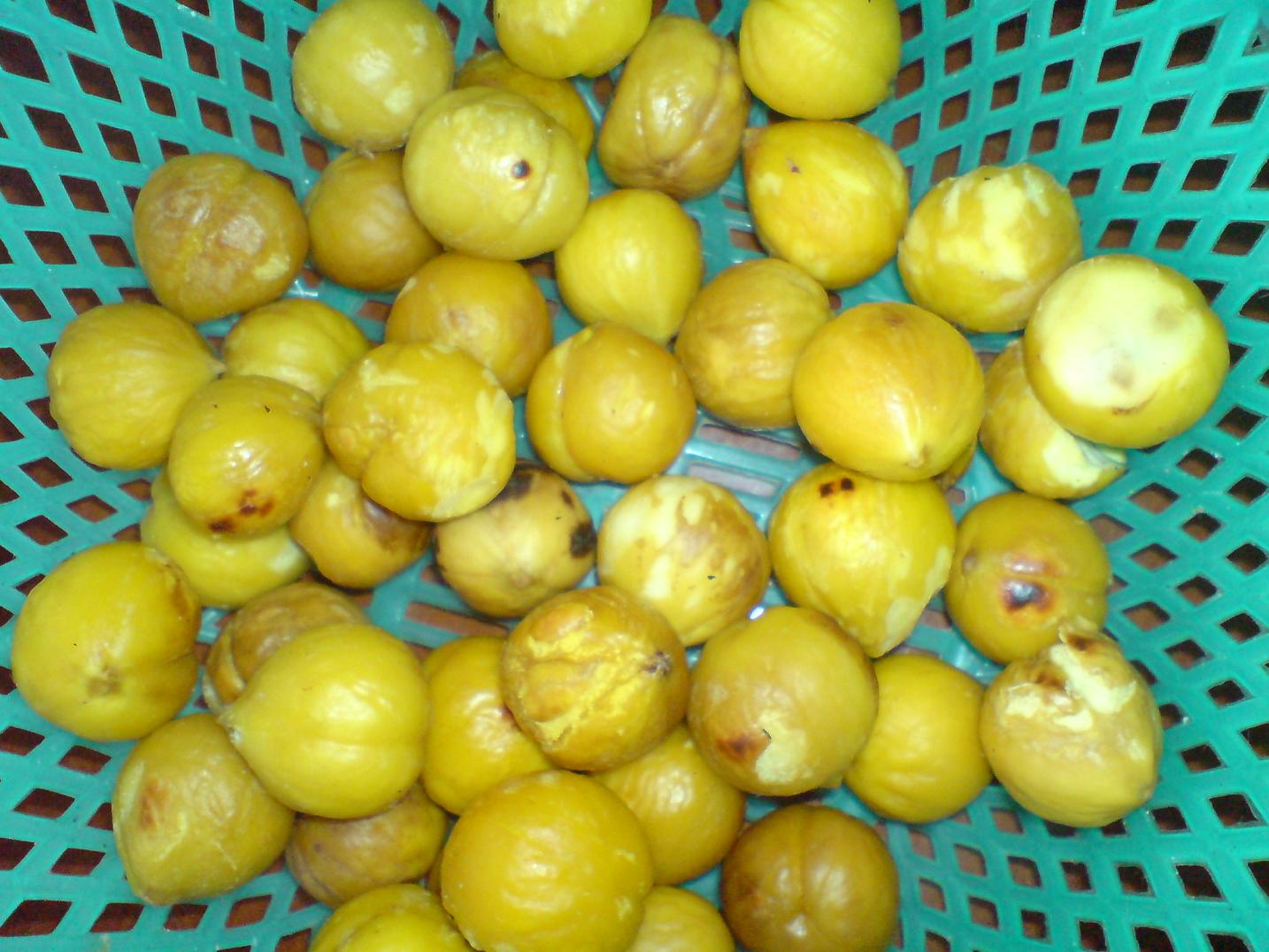 һ���ӾͰ��꿩