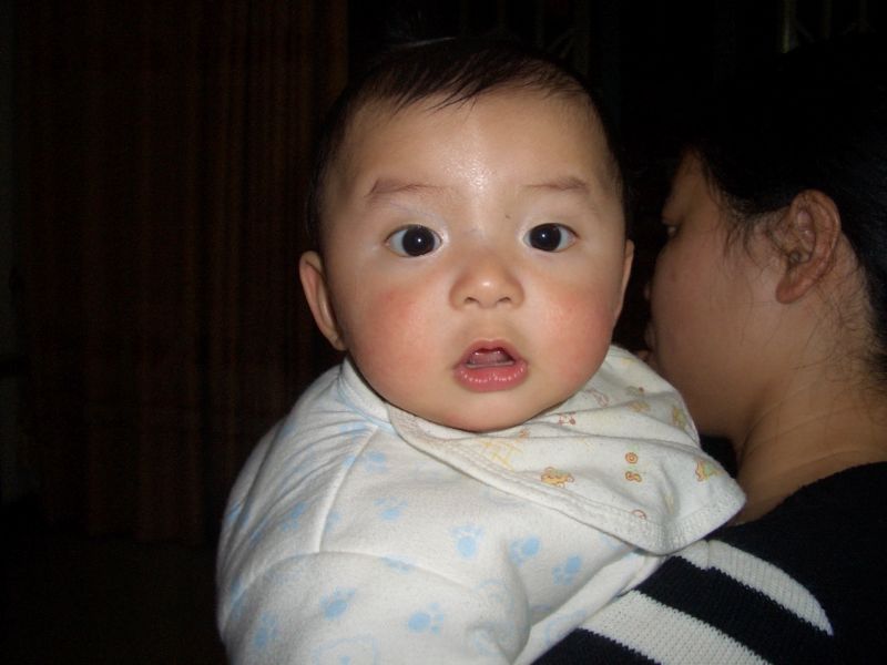 ��ҹ��ľ���