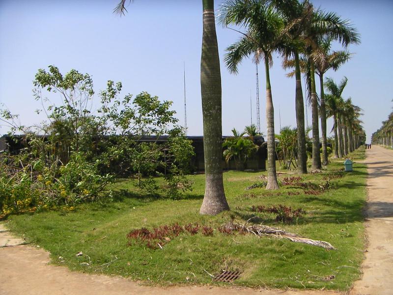 տ������ֲ����ֲʾ������