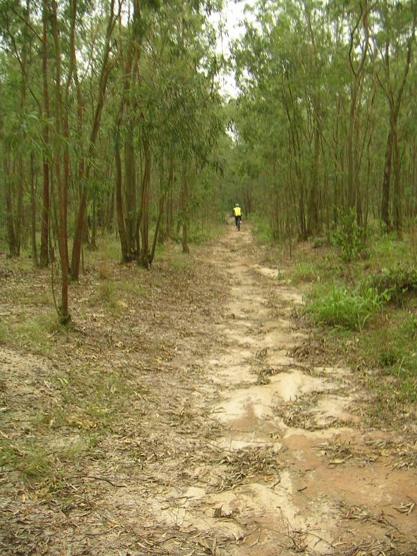 ��ǰȥ�����ٶ�֧ɢ��·�У�ò�ƴ�Ҽ����ȽϴֵĶ�����һ�£����������˾���