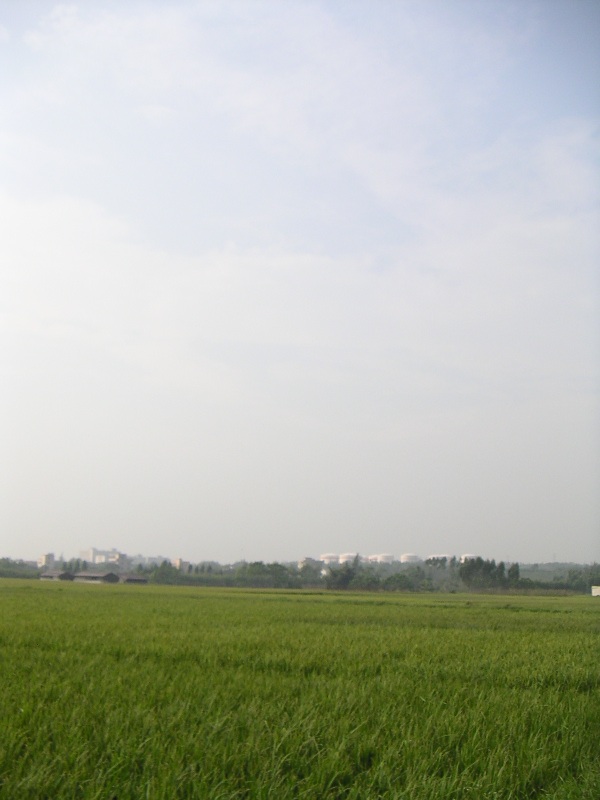 ������ƣ��̵�����������ˡ����������ܵ�һ�С�