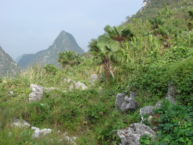 ʯͷ���������